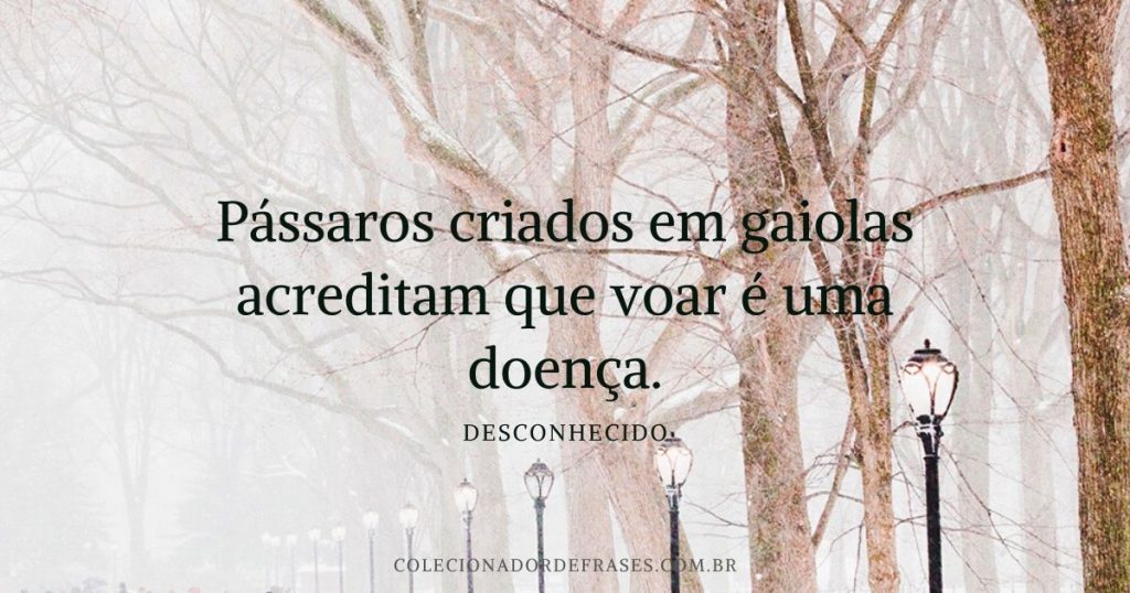 Pássaros Criados Em Gaiolas Acreditam Que Voar é Uma Doença